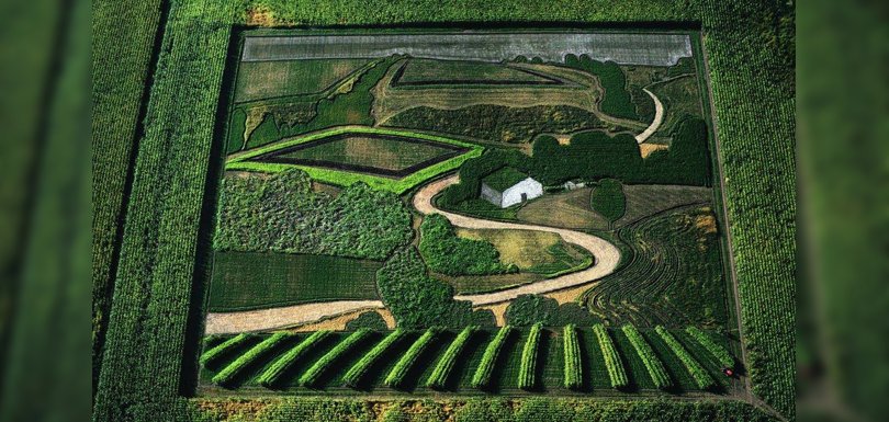 Il détourne les champs pour créer d’immenses tableaux végétaux - bit.ly/2LmhQdr