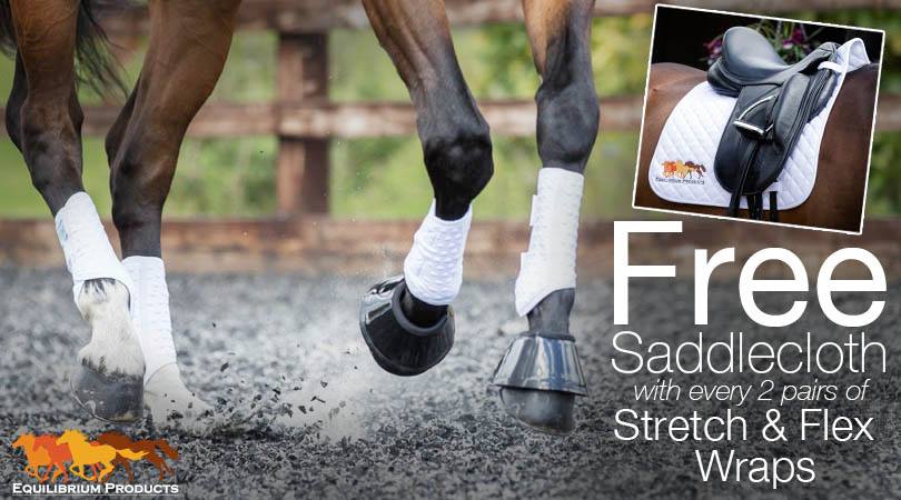 SupSolutions's tweet image. Visit supplementsolutions.co.uk to see our exciting offers on @EquilibriumProd products!

FREE Equilibrium White Dressage Saddlecloth with every 2 pairs of Stretch &amp;amp; Flex boots purchased!

Hurry while stocks last!

#supplementsolutions #equilibrium #offers #horsehour #traintowin