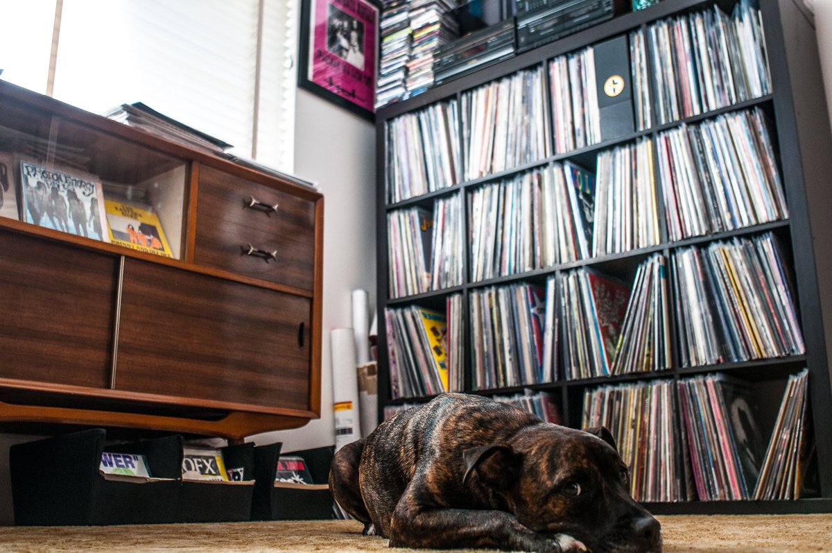 Check out latest Record Collector piece now live on the site. FFO MINDSNARE, ANTHRAX, HARD ONS, MASSAPPEAL, RADIO BIRDMAN etc..
restassuredzine.com/collectors/586…