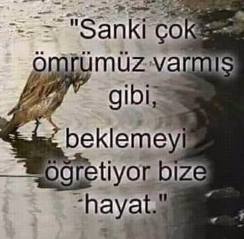 FadimeBilgin7's tweet photo. https://t.co/XFOM1iFsS2