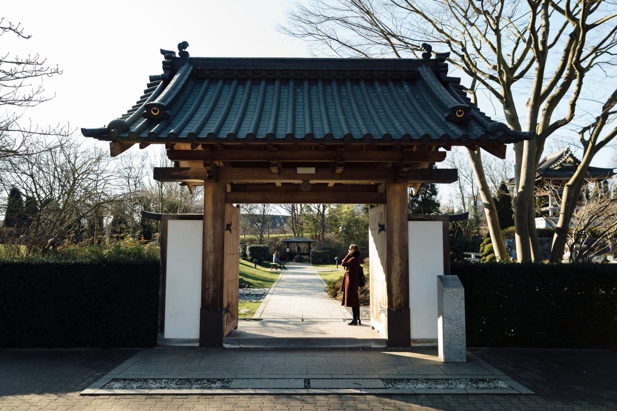 fvonf's tweet photo. With a quarter of all Japanese people in Germany living in and around Düsseldorf, we gained a fascinating insight into life in the cultural quarter known as Little Tokyo. https://t.co/99B6bqMXAm https://t.co/t3hn8b7EJP