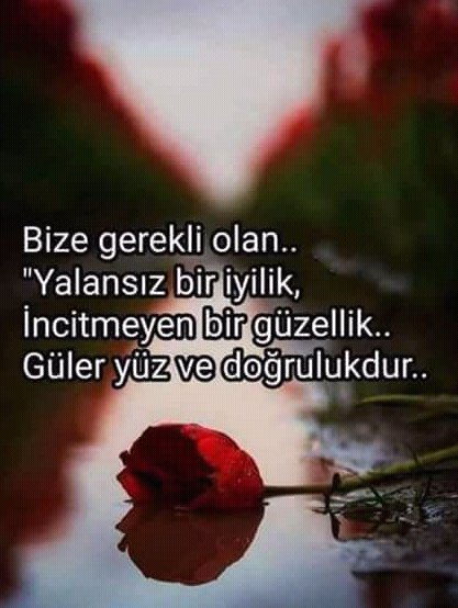 FadimeBilgin7's tweet photo. https://t.co/VWg8YWlM75