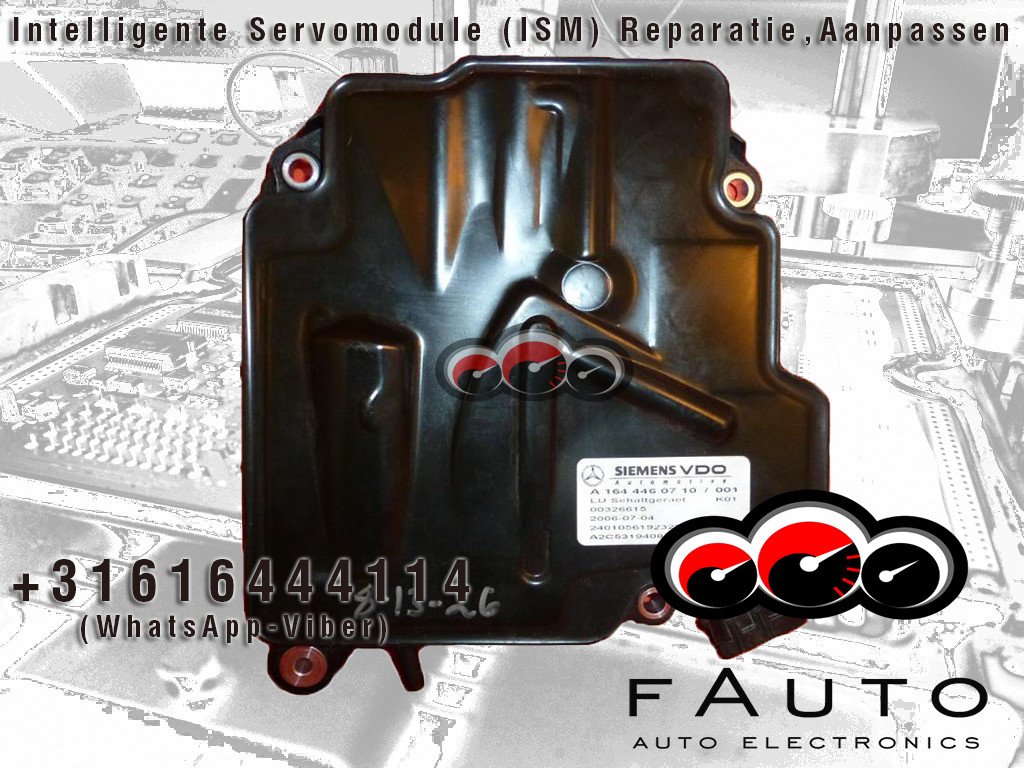 fauto19 tweet picture