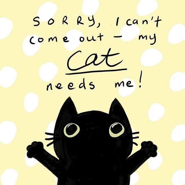 PaperPaperUK2's tweet image. Found this buried deep in computer files - I don't even have a cat!
.
.
.
.
.
.
.
.
.
.
#cat #blackcat #catillustration #instacat #catart #cutecat #catsofinstagram #illustrationoftheday #drawingoftheday #illustratorsoninstagram #illustagram #instaart #cr… ift.tt/2s1BnI2