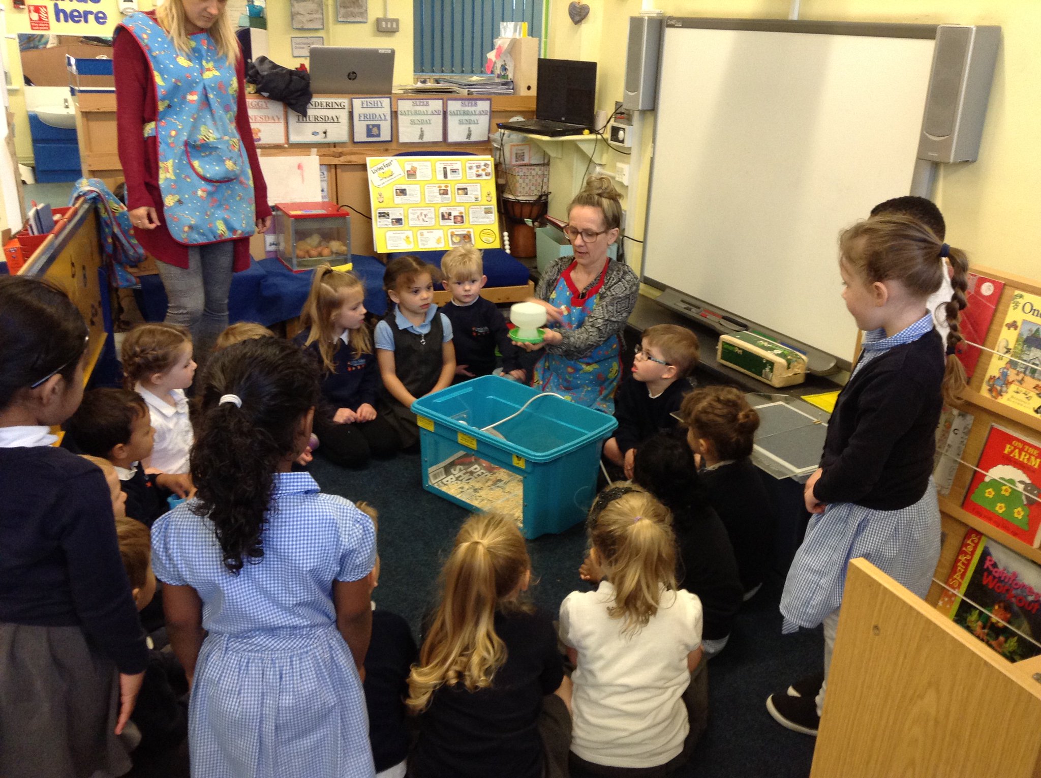 Little Mead Primary on Twitter "Our Nursery children have been