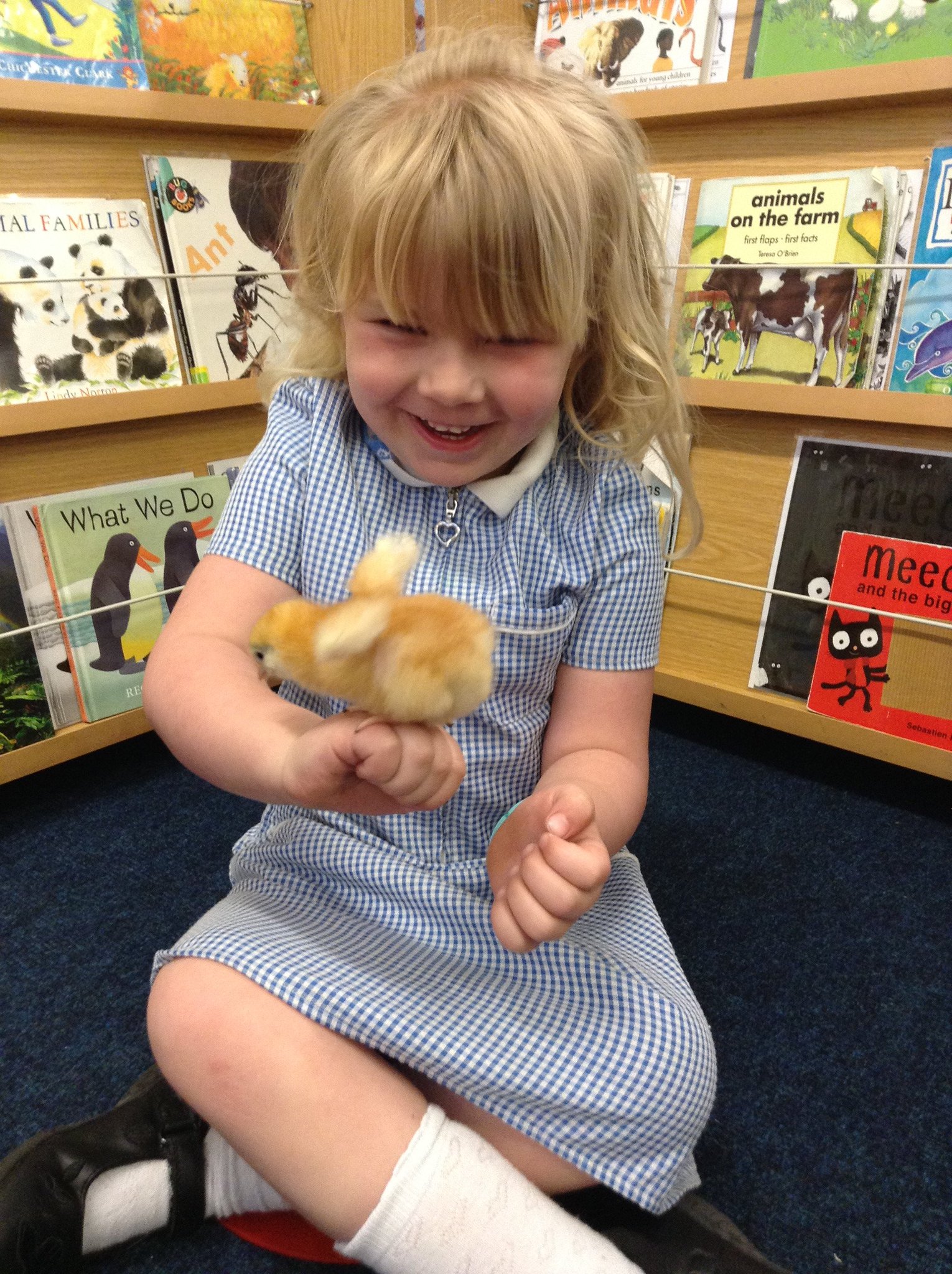 Little Mead Primary on Twitter "Our Nursery children have been