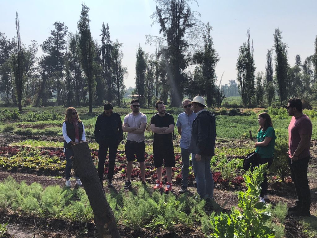BunzlLockhart's tweet image. Right at the source! The team were in Xochimilco, #Mexico checking out the local ingredients in preparation for the UK-MX cooking showcase tonight with @ProEpta_HC for the @Craft_Guild #NCOTY prize trip with @lucas_selby, @jamesdevine2 &amp;amp; @MulcahyDavid
