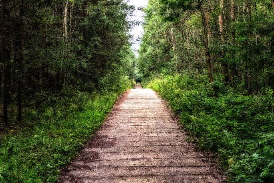 ‘Do not go where the path may lead, go instead where there is no path and leave a trail’. - Ralph Waldo Emerson #WednesdayWisdom