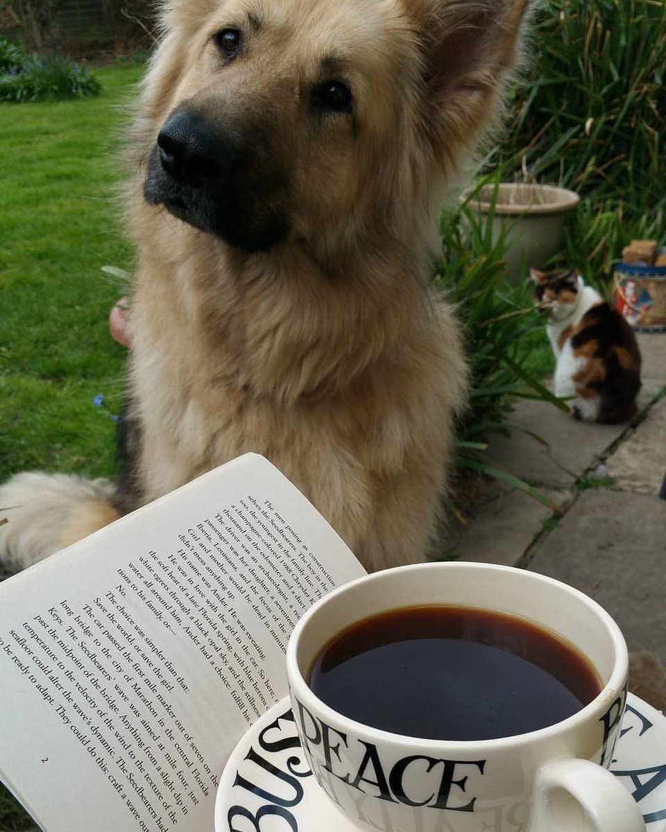 AcklandLucinda's tweet image. ☉☕🐶📚
Starting the day 
The right way
A good read
A cup of peace
An intense blether 
With a good listener 
Who doesn't interrupt!
All outside in great company 
Bring it on ☕
Sunshine Wednesday ☉
#lensomy #poet #witch 💛🤘
Book by #author @JennyKaneAuthor #jennykane