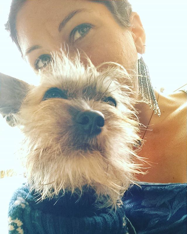 allisonleigh_sm's tweet photo. I asked her if she would take a #selfie with me. #microkizm #kizmetofcute #whimsicalseadragon #ticklethyfantasy https://t.co/iFwudYlsac https://t.co/KaQdk7qu69