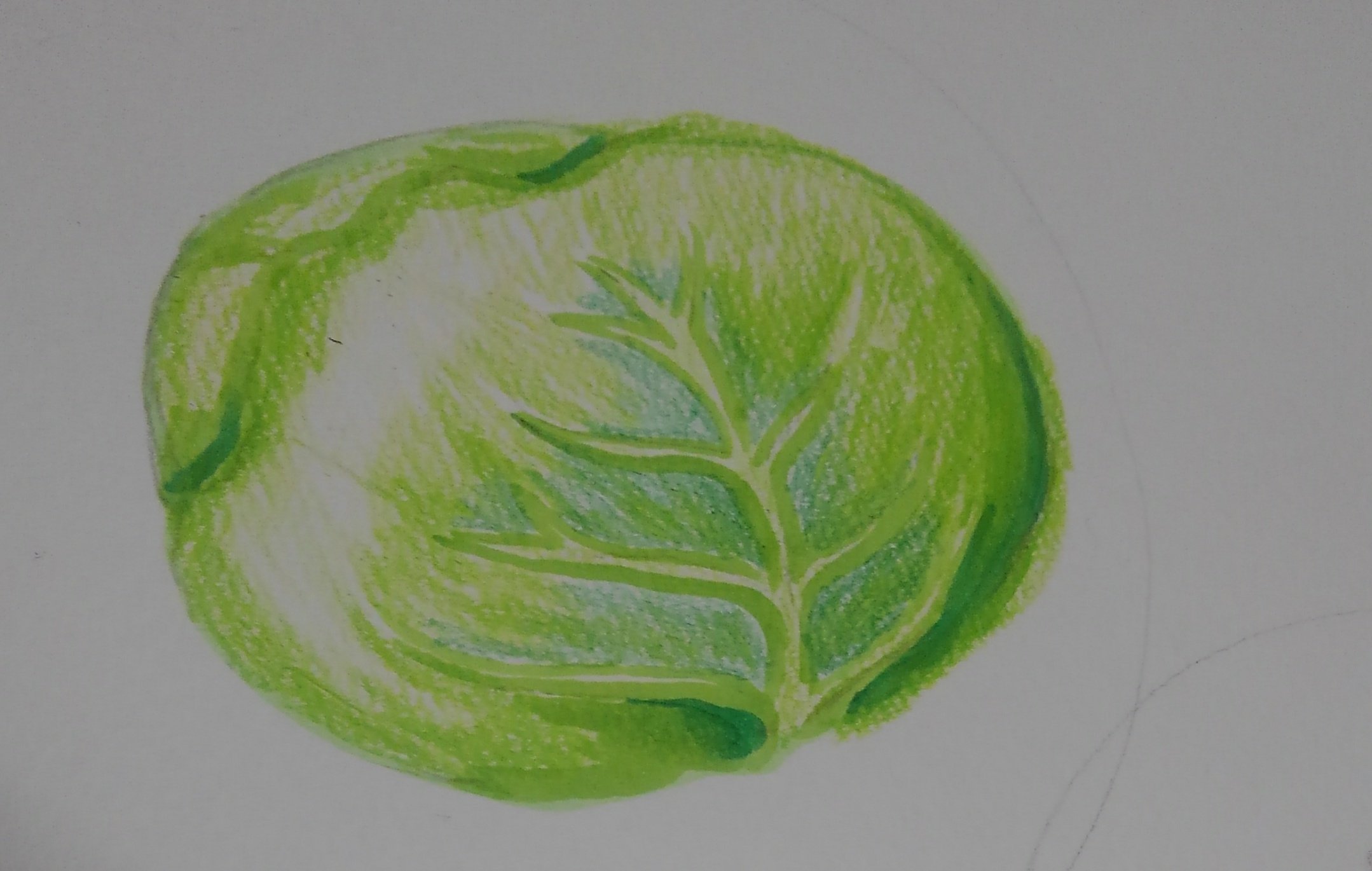 チェチェナちゃん Vrbk3qm5pz2n4ao Twitter