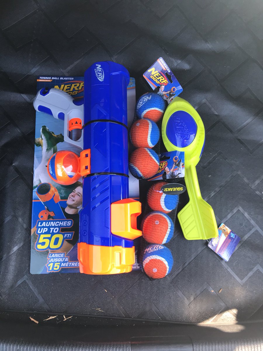 nerf dog tennis ball blaster pets at home