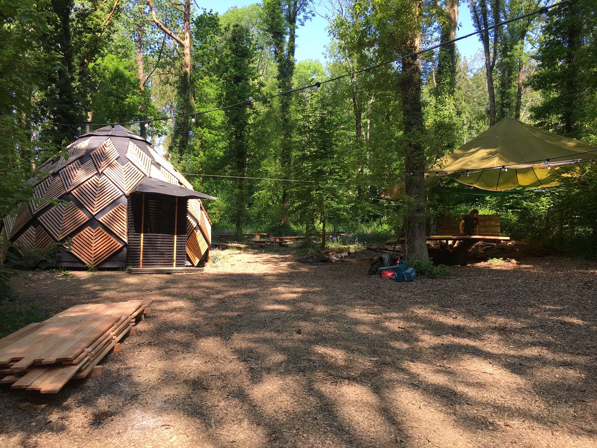 Working in the woods