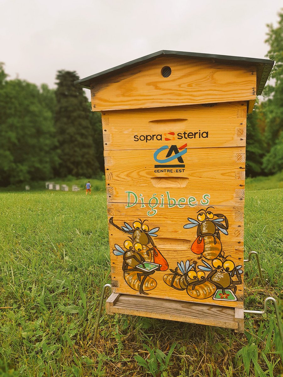 Digibees : des ruches connectés issues d’un partenariat entre <a href="/ca_centrest/">Crédit Agricole Centre-est</a> &amp; <a href="/SopraSteria/">Sopra Steria</a> 🐝 <a href="/VillagebyCaCe/">VillagebyCa-Centrest</a>  #innovation #agtech #pollinisation