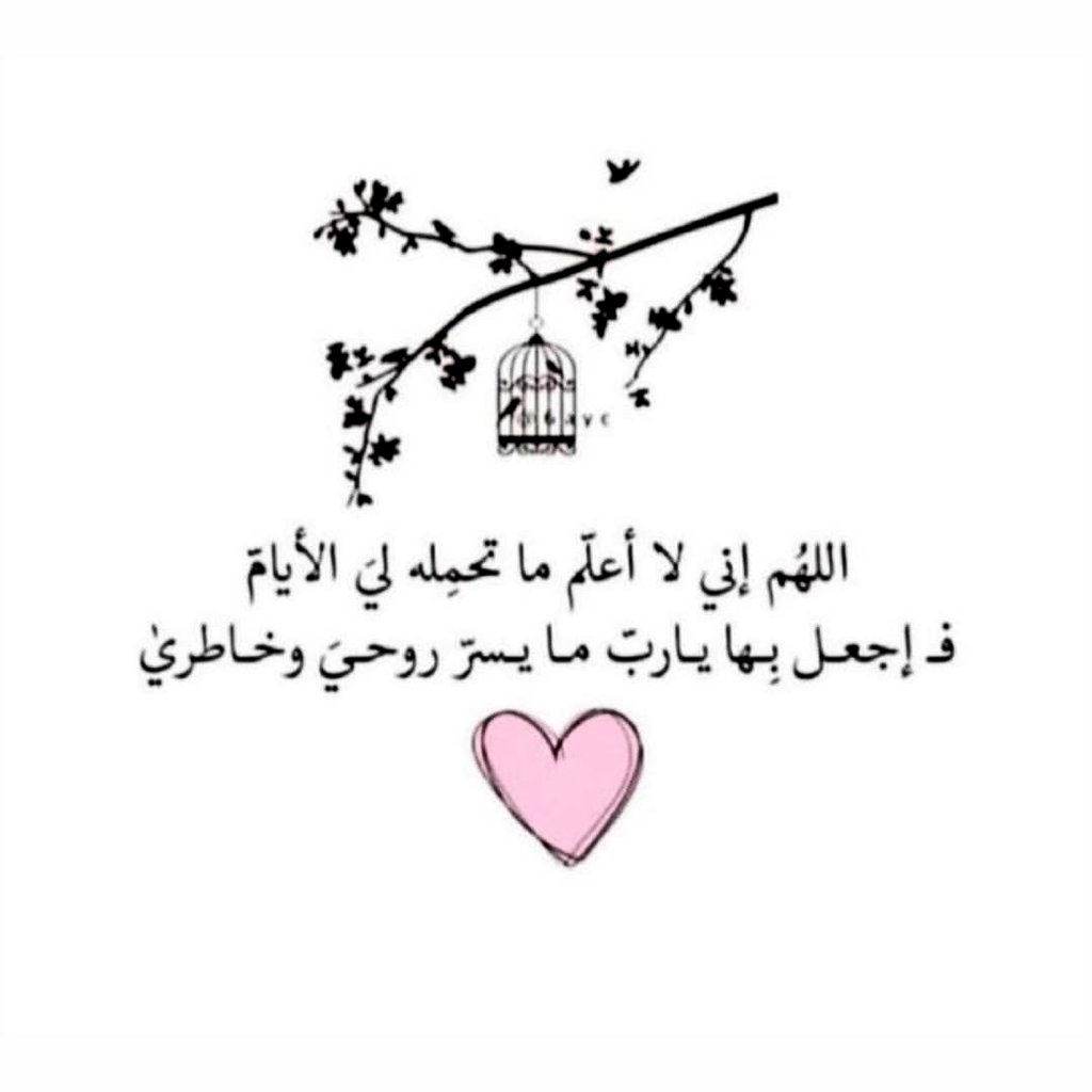 Samera_10's tweet photo. https://t.co/es0Kk7V7ek