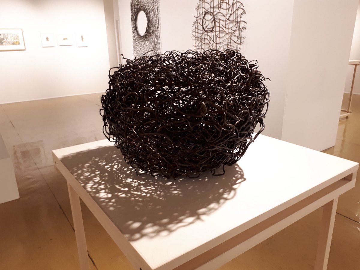 gracefieldarts's tweet photo. A Fine Line- 19/5 - 07/07 Wonderful pieces from our own D&G #artist @lizzeyfarey who is also participating in @spring_fling this weekend at #waspstudios #kirkcudbright @kbtgalleries @WeAreUpland @dgcouncil https://t.co/4EGDZfNRTg