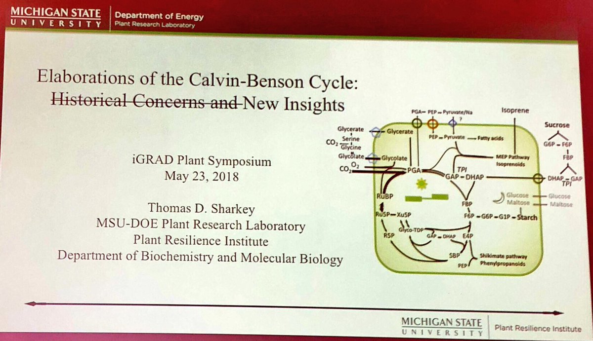 apmweber's tweet image. 70 yrs of CBB and still new stuff to learn. Tom Sharkey @MSUbiochemistry  on keeping the cycle going. #igradplant @HHU_de