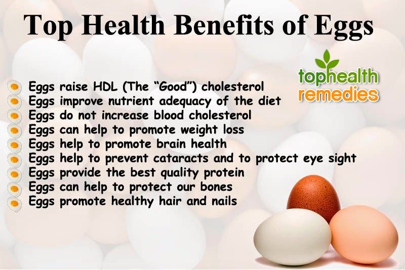 One egg per day may keep stroke at bay,  eggs are a great source of healthful nutrients, such as protein, vitamins, phospholipids, and carotenoids medicalnewstoday.com/articles/32187…