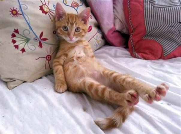 Доброе утро ямеще сплю. Отпустите пораньше с работы. Ну все я уже иду. Ну все я уже иду. Стикер жду тебя.