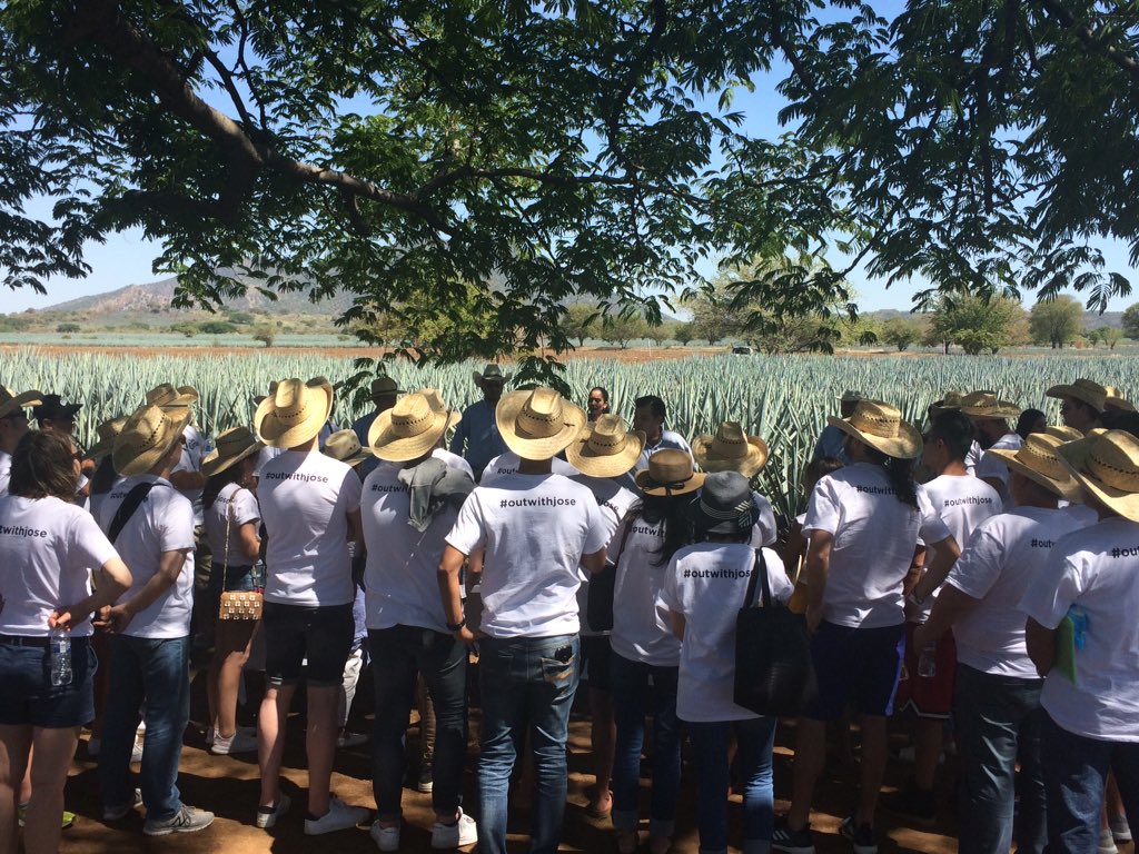 TFILodestar's tweet photo. The event has come to an end in Mexico - from the agave fields to the distillery, a lot of education, fun...and tequila! #outwithjose #eventprofs https://t.co/f1ojxyU5zp