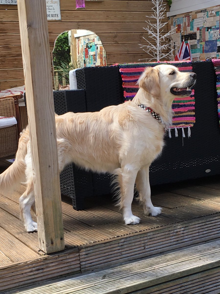 Lee Reynolds tweet media