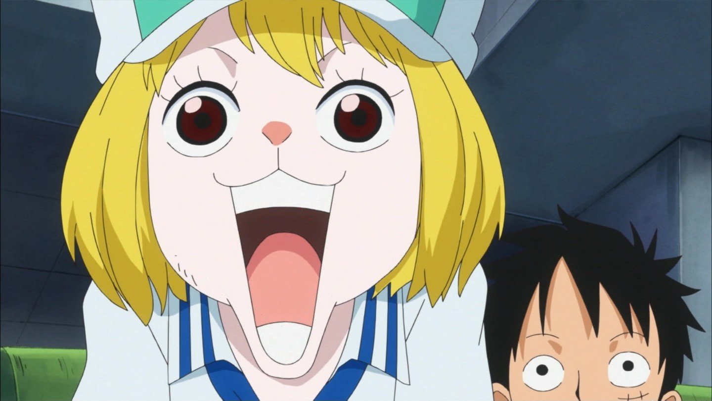 嘲笑のひよこ すすき 本日5月24日は One Piece の犬嵐銃士隊 うさぎのミンク キャロットの誕生日 おめでとう Onepiece ワンピース キャロット生誕祭 キャロット生誕祭18 5月24日はキャロットの誕生日