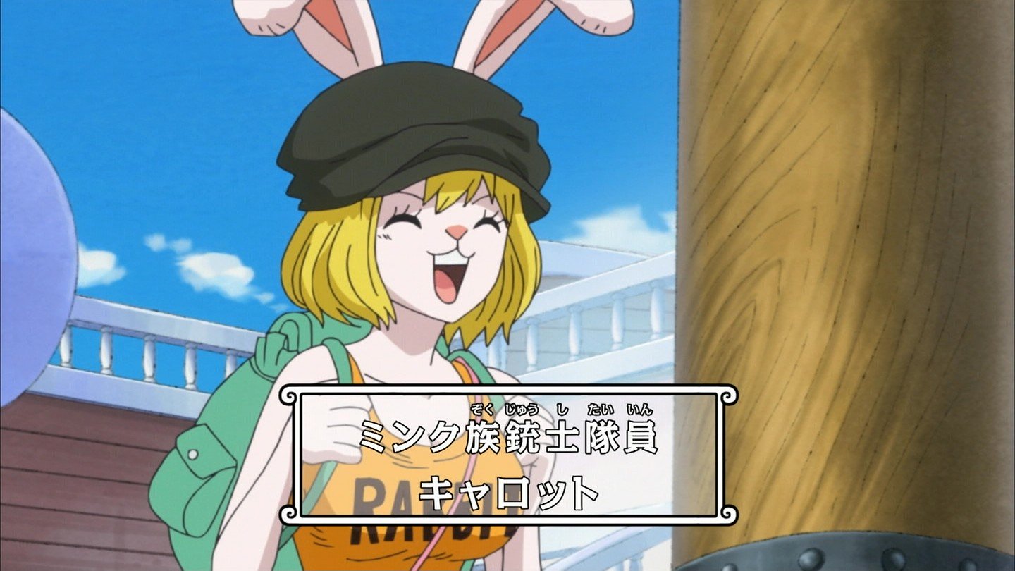 嘲笑のひよこ すすき 本日5月24日は One Piece の犬嵐銃士隊 うさぎのミンク キャロットの誕生日 おめでとう Onepiece ワンピース キャロット生誕祭 キャロット生誕祭18 5月24日はキャロットの誕生日 T Co Thka9gthpk Twitter