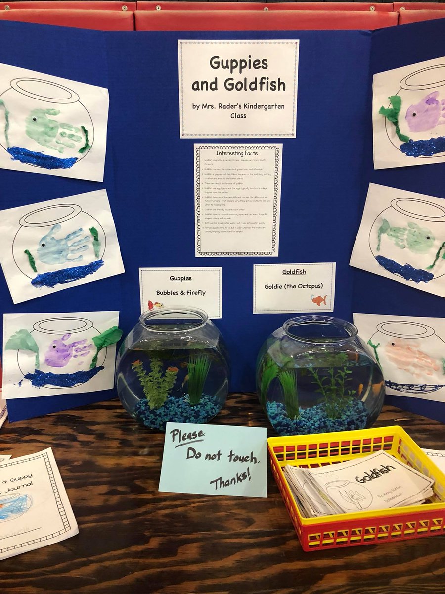 EASDPaxinosaCS's tweet photo. We had a wonderful science fair yesterday! Thank you to Mrs. Lohman and Mrs. Dailey for organizing this great day of learning. #paxpride https://t.co/f1V2QM8XQV