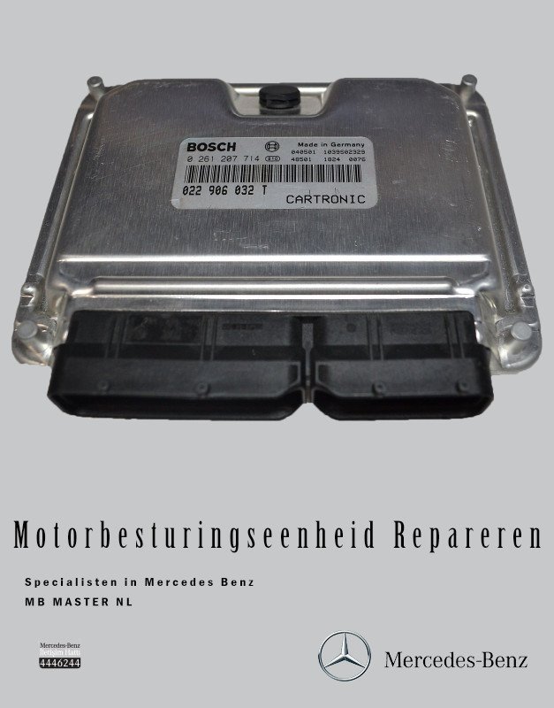 MbMaster7 tweet picture