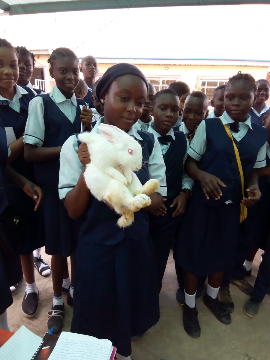 sdfarmsng's tweet photo. Pre-teens and the youth can be inspired to be agricultural enthusiasts and practice sustainable agriculture as a tool to #endhunger and #endpoverty.
@FarmsSd believes that every child/adult can learn how to practice edible tree landscaping, mushroom production etc, https://t.co/tPDnt4YorP