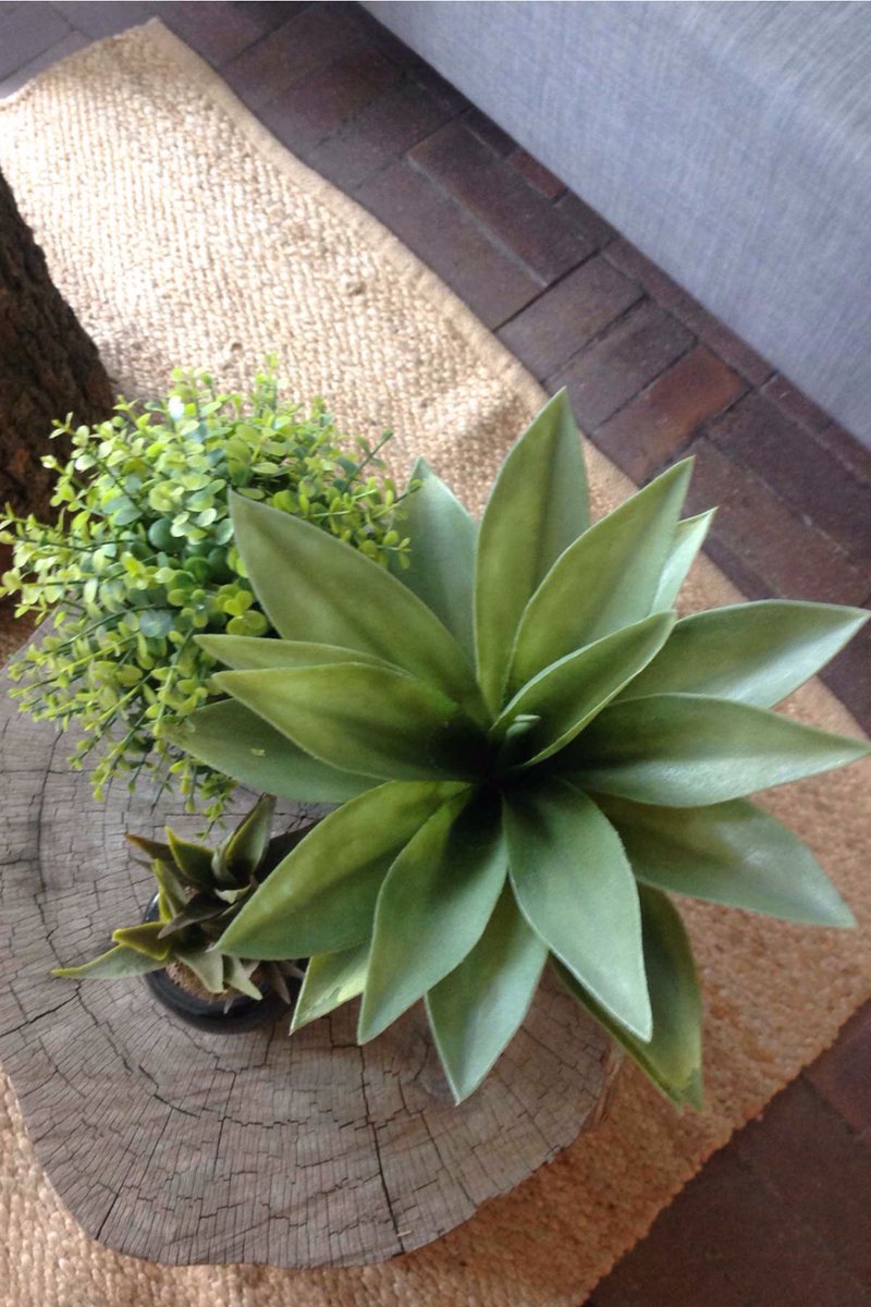 Thank you <a href="/mtnza/">MTN South Africa</a>