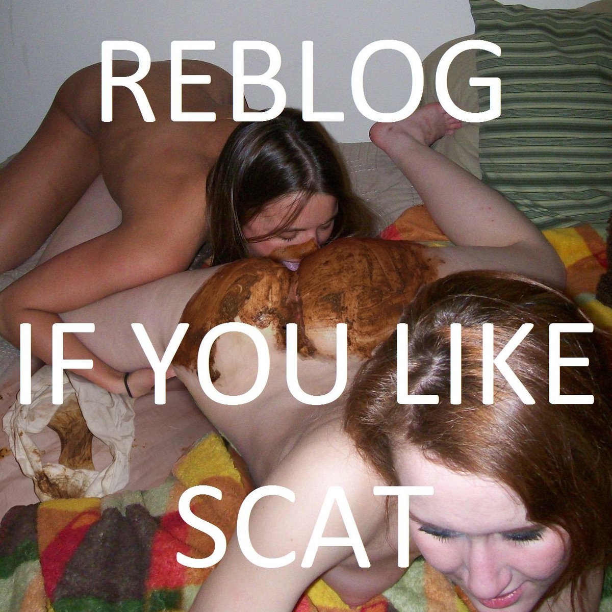 subgirlanja's tweet photo. I like to be a scatgirl
#scat #scatgirl https://t.co/AfcyjU1oRC
