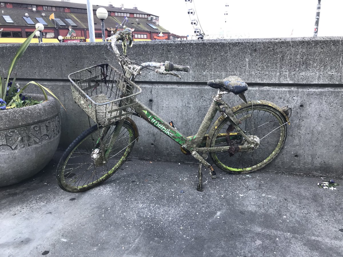 SeizureSalad 🧠 tweet media