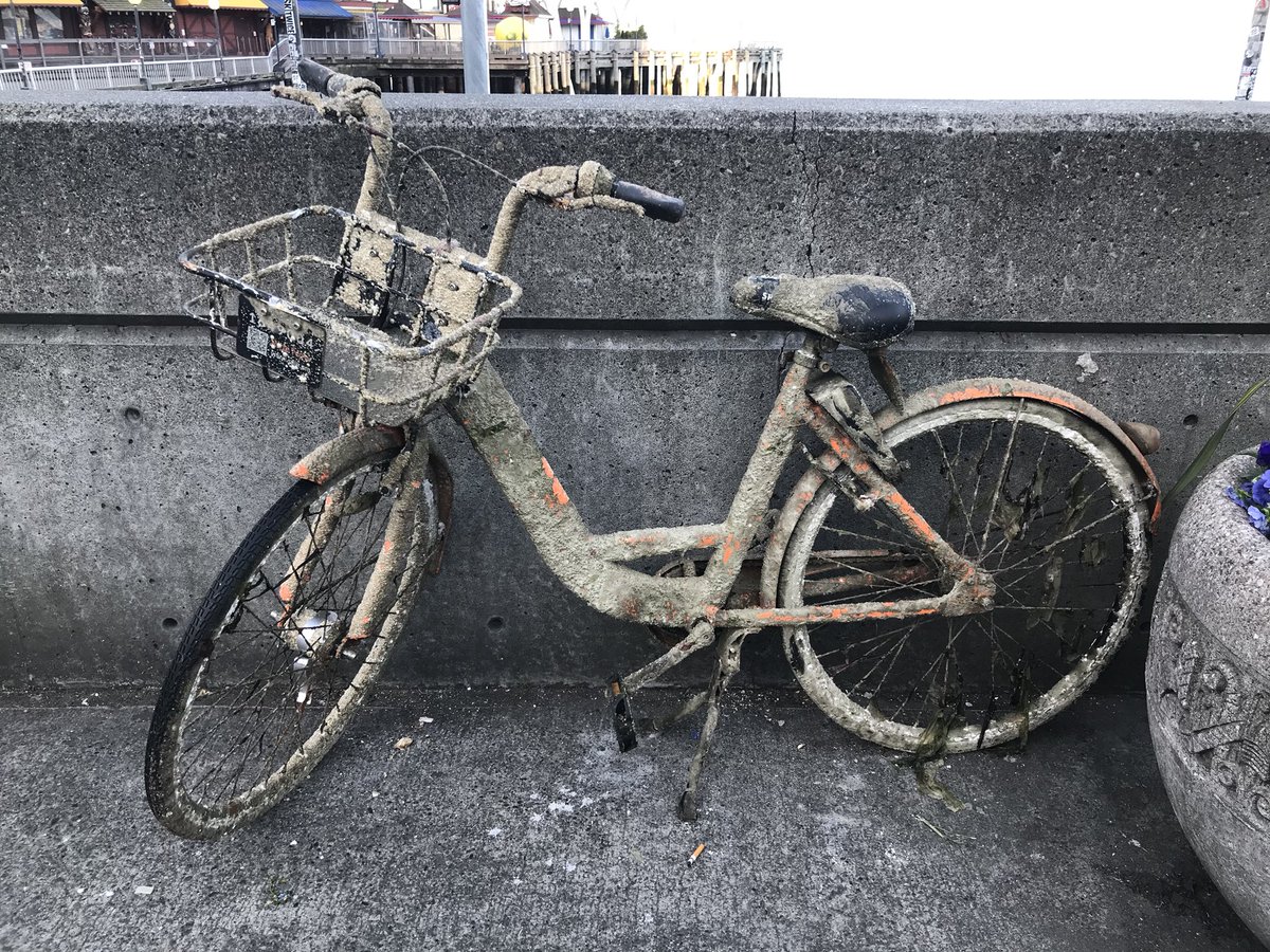 SeizureSalad 🧠 tweet media