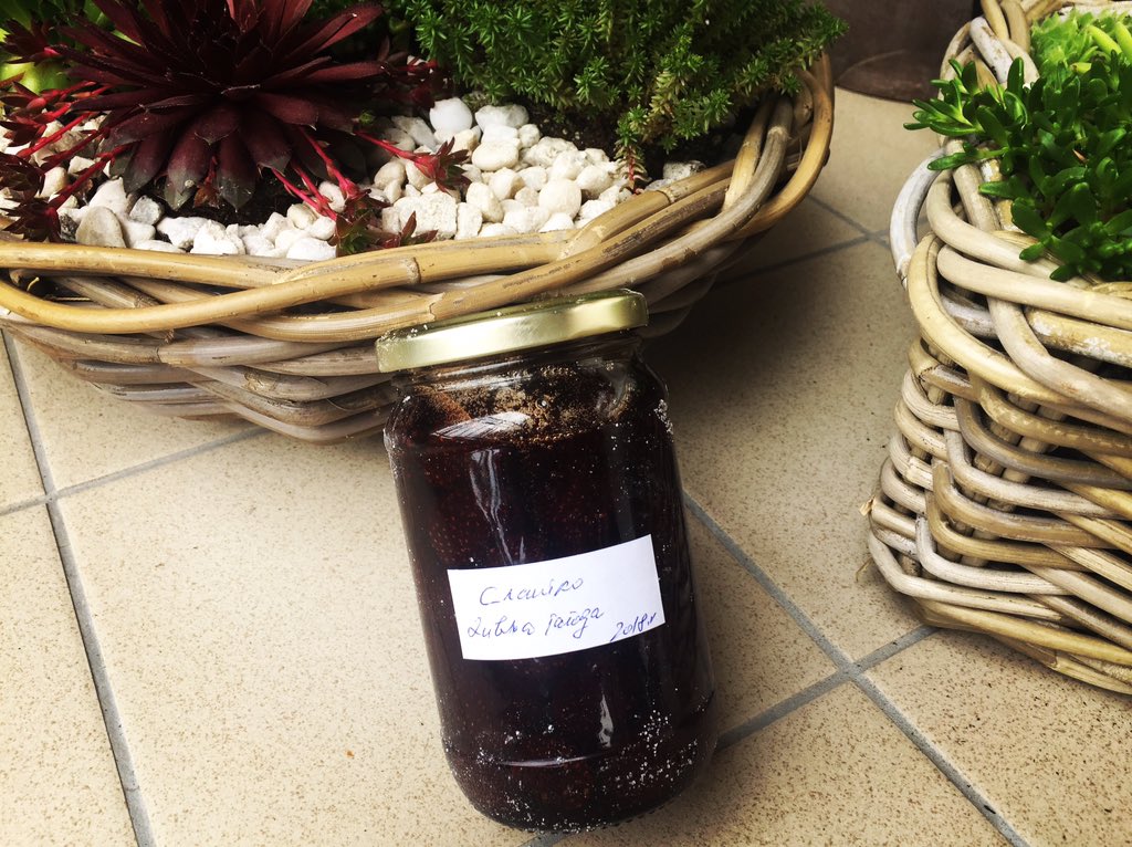 milkasklvc's tweet image. You know that feeling when you go to a business meeting and you come back home with a wild strawberry confiteur? 🍓❤️You don't? Then you're probably not from the Western Balkans.
@SlowFoodHQ 
#slowfoodmovement #slowfoodserbia #terramadrebalkans
#futureoffood