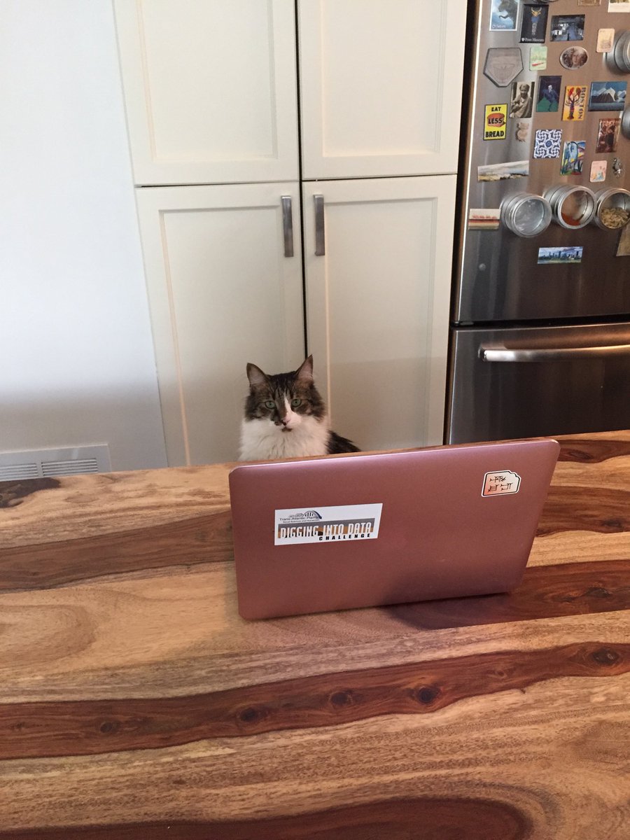 Apkallatu's tweet photo. Major Tom gets to grips with Digital Humanities #diggingintodata https://t.co/VdLKQnjRmM