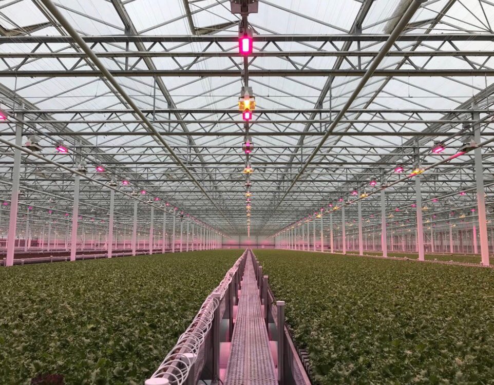 Opening of greenhouse phase 2 <a href="/LittleLeafFarms/">Little Leaf Farms</a> for the local lettuce locals love!