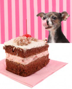 NapatheDog's tweet photo. What's going to happen to your #dog consumes foods that make dogs sick? https://t.co/iQFNuo8jNK https://t.co/OZHZWJy6sH