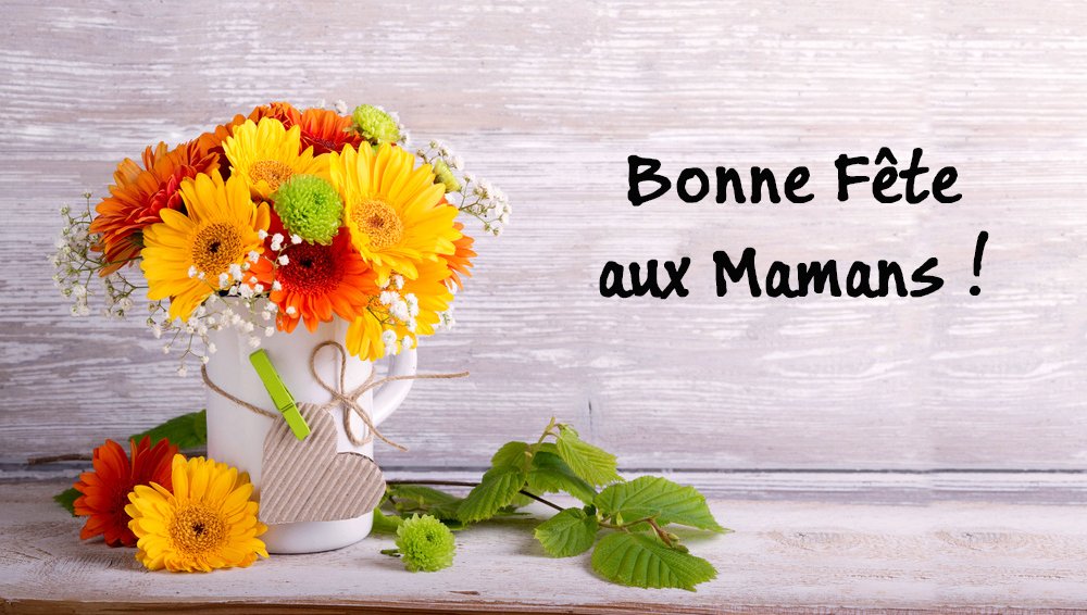 Mondialextinct's tweet photo. Un peu de douceur en cette journée dédiée à nos chères mères ! 😊✨💞
#fetedesmeres https://t.co/RpZ1f4HKOr