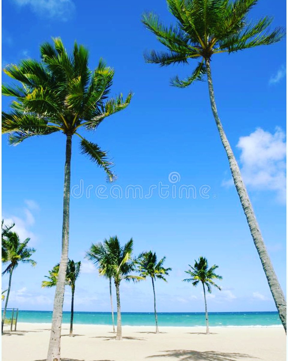 MyFloridaRemax's tweet photo. Finally no rain! Enjoy this BEAUTIFUL day and stop searching sites for a home. Hire an agent who does the work for you so you can relax! Call TEAMBENNETT today. #sun #fun #realestate #home #welivehere https://t.co/hDqC6U0zWo