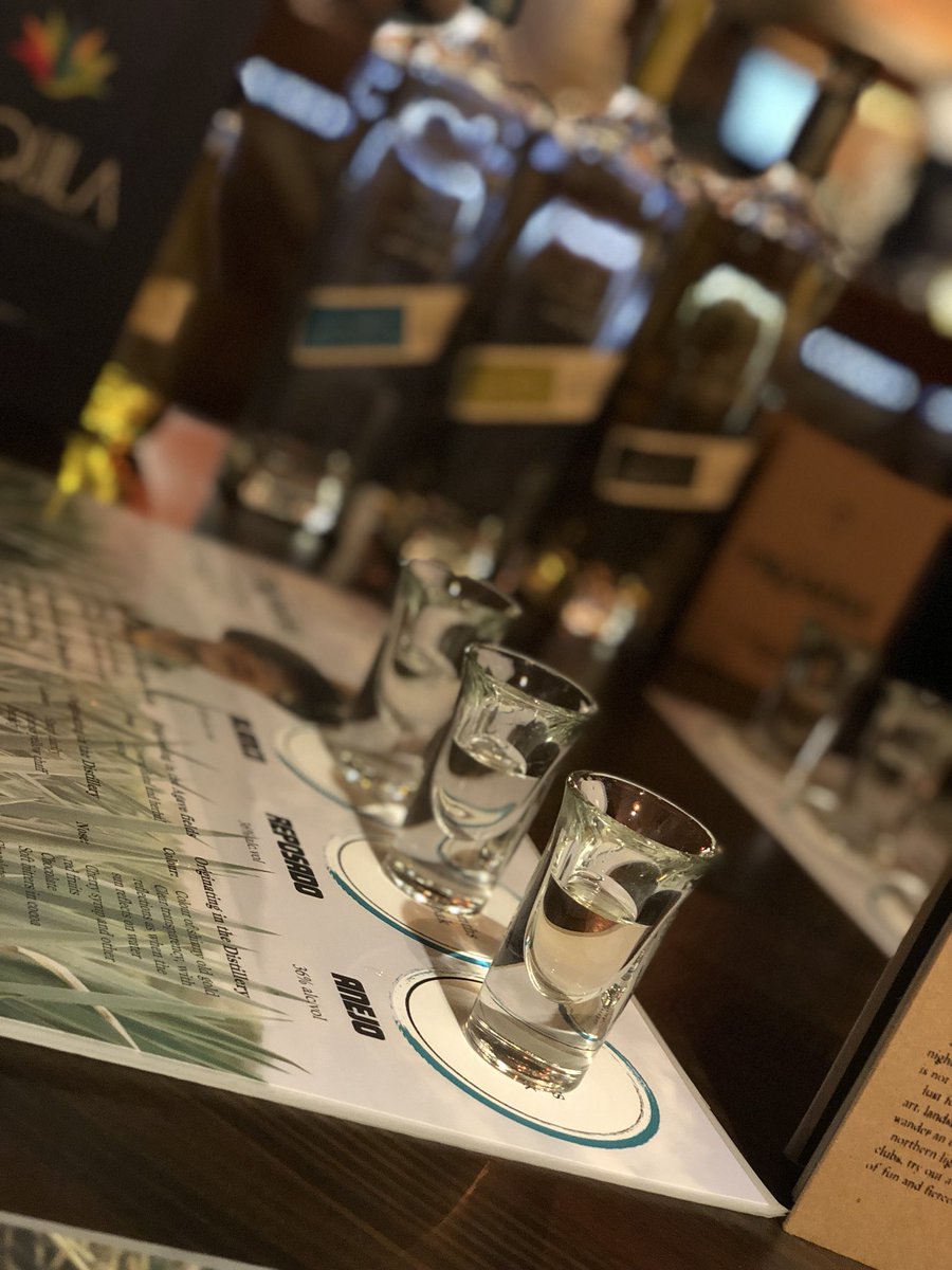 senoritalacava's tweet photo. Starting the day right with some training with #tequila Tromba https://t.co/pQ2hWYT7sc