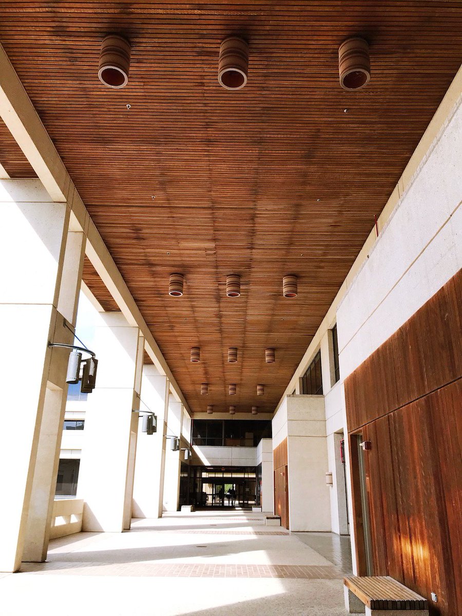 UTSA's tweet photo. If these walls could talk, what would they say, ’Runners? #UTSA #MSBuilding https://t.co/lmjYCYtuKQ