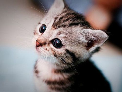 || You monster...

HOW DARE U USE (PUSSEH) AGAINST ME!!