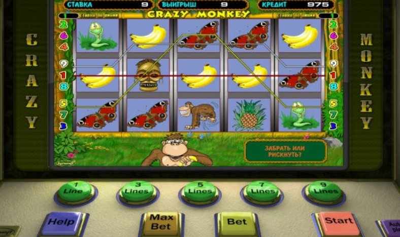 Игровой автомат crazy monkey без регистрации какой налог на игровой автомат