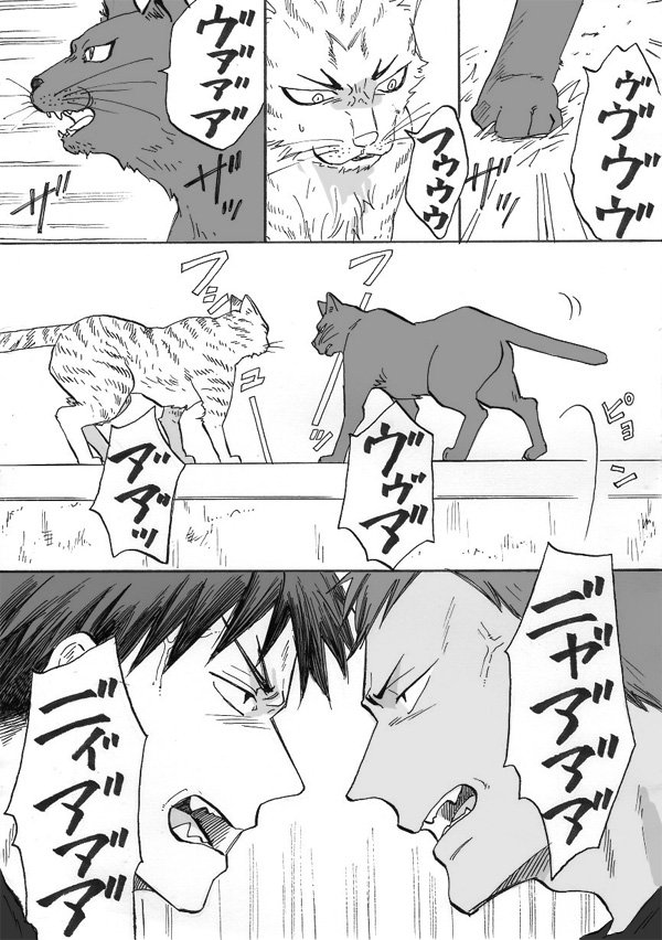 キスの日にのっかる野良猫実録漫画(代理黒子)
帰省の際に遭遇して携帯を持っていなかった事に大変後悔したのであった
とら猫と黒猫も実在のままだったんだぜ…描くしかなかろうよ 