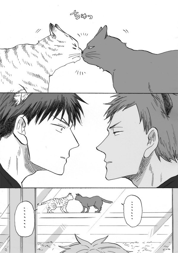 キスの日にのっかる野良猫実録漫画(代理黒子)
帰省の際に遭遇して携帯を持っていなかった事に大変後悔したのであった
とら猫と黒猫も実在のままだったんだぜ…描くしかなかろうよ 