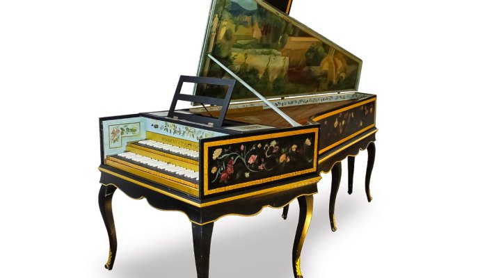 MI Focus tweet media