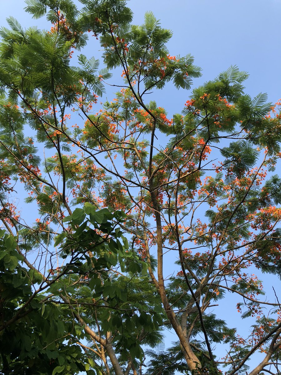 hapiness2010's tweet image. The texture of summer