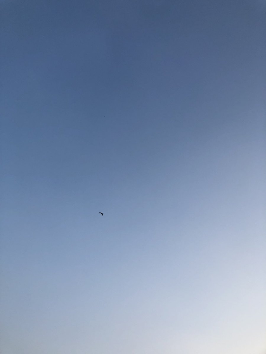 hapiness2010's tweet image. The texture of summer