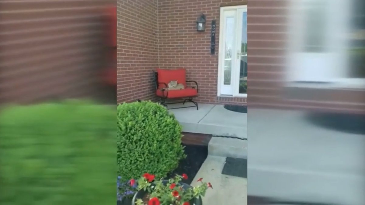 Koco 5 Oklahoma City On Twitter Wild Video Family Finds